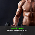 PROTEIN