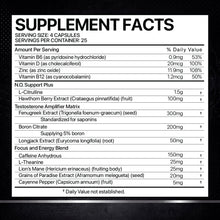Core Champs 3 in 1 Testosterone Booster 100 Capsules